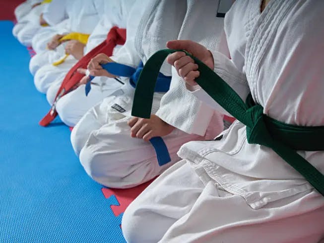 Martial arts belt colours in training gym