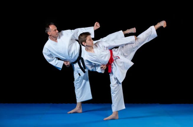 Mixed martial arts image